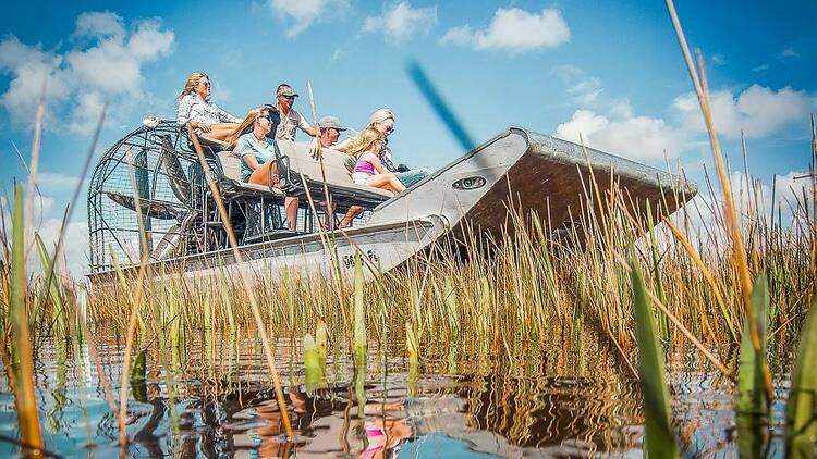 Everglades Air Boat and Alligator Tour