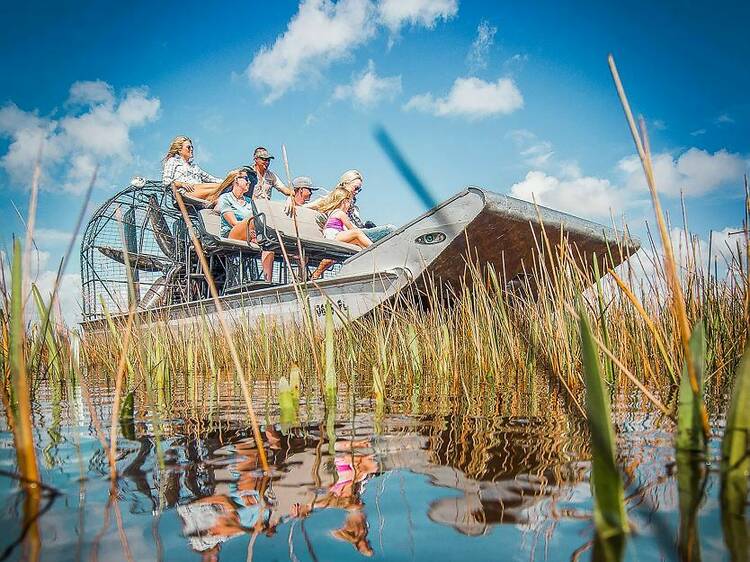 Everglades Air Boat and Alligator Tour