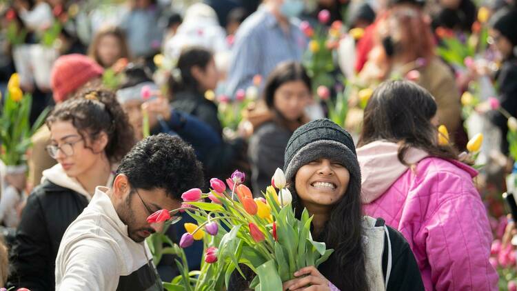 people take flowers at a market