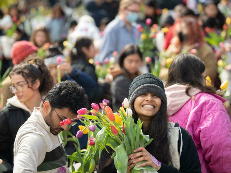 200,000 tulips are taking over Union Square and you can get a free bouquet
