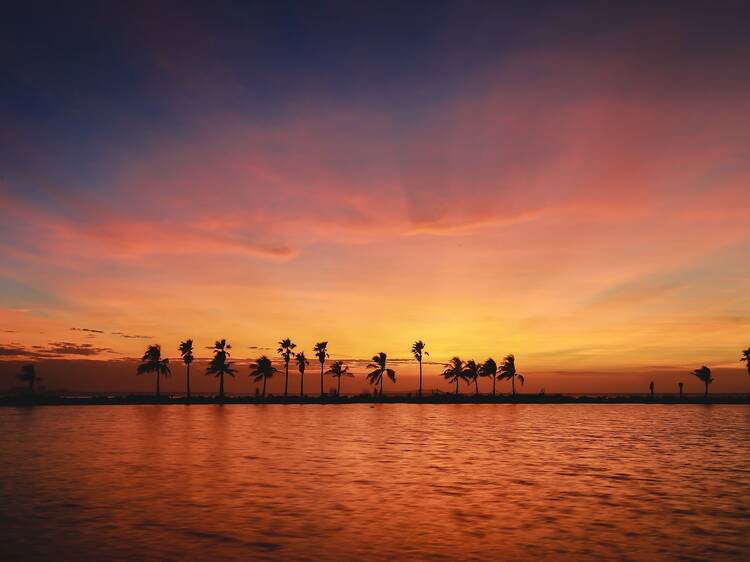 Matheson Hammock Park