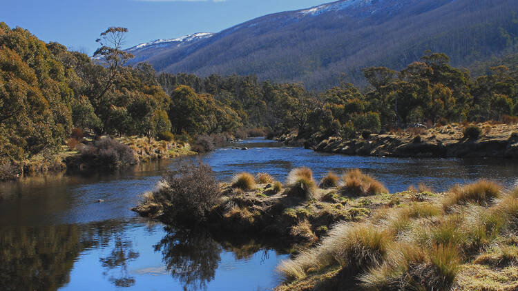 River surrounded by shrubs and snowy capped mountains