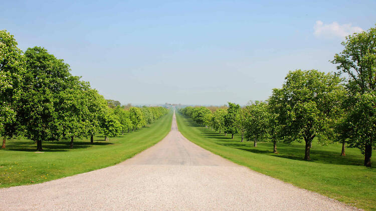 The Long Walk in Windsor