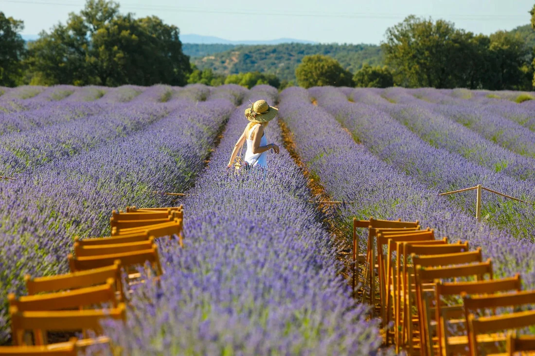 Festival de la Lavanda de Brihuega