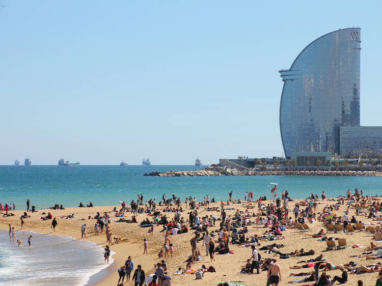 Barcelona será la capital mundial de los océanos y ofrece más de 100 actividades (¡la mayoría gratis!)