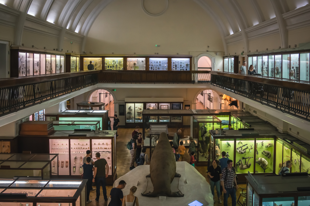 South London’s much-loved Horniman Museum will soon start opening late