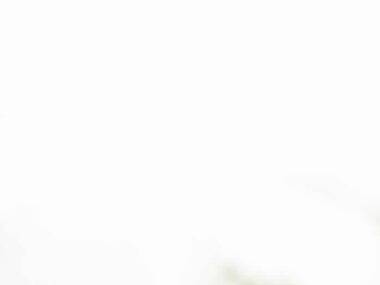 Chicago Artisan Market Chicago Artisan Market