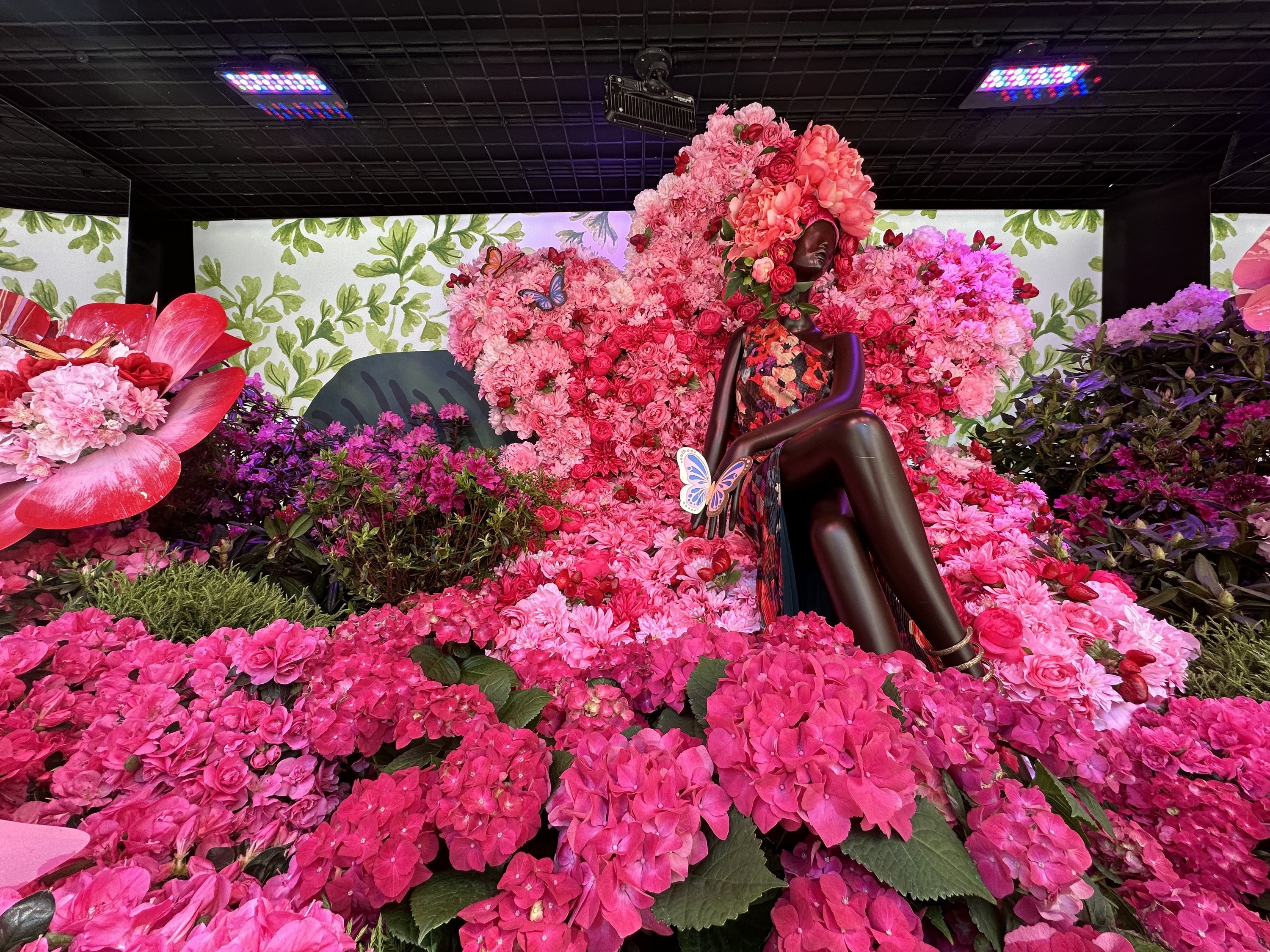 A pink floral display inside the Macy's windows for the spring flower show.