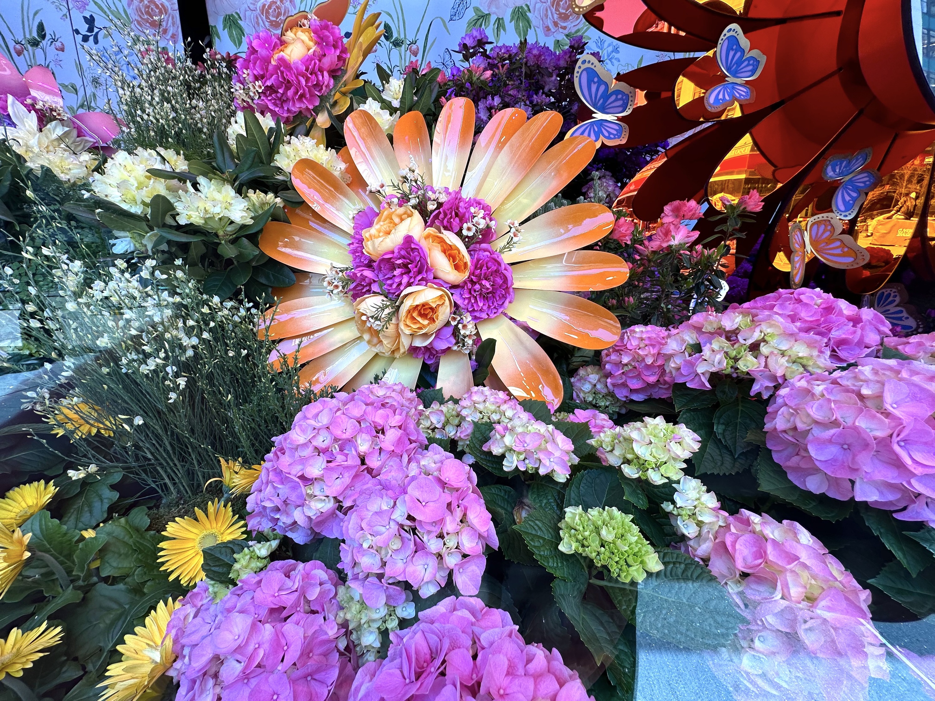 A display of pink hydrangeas in the Macy's windows