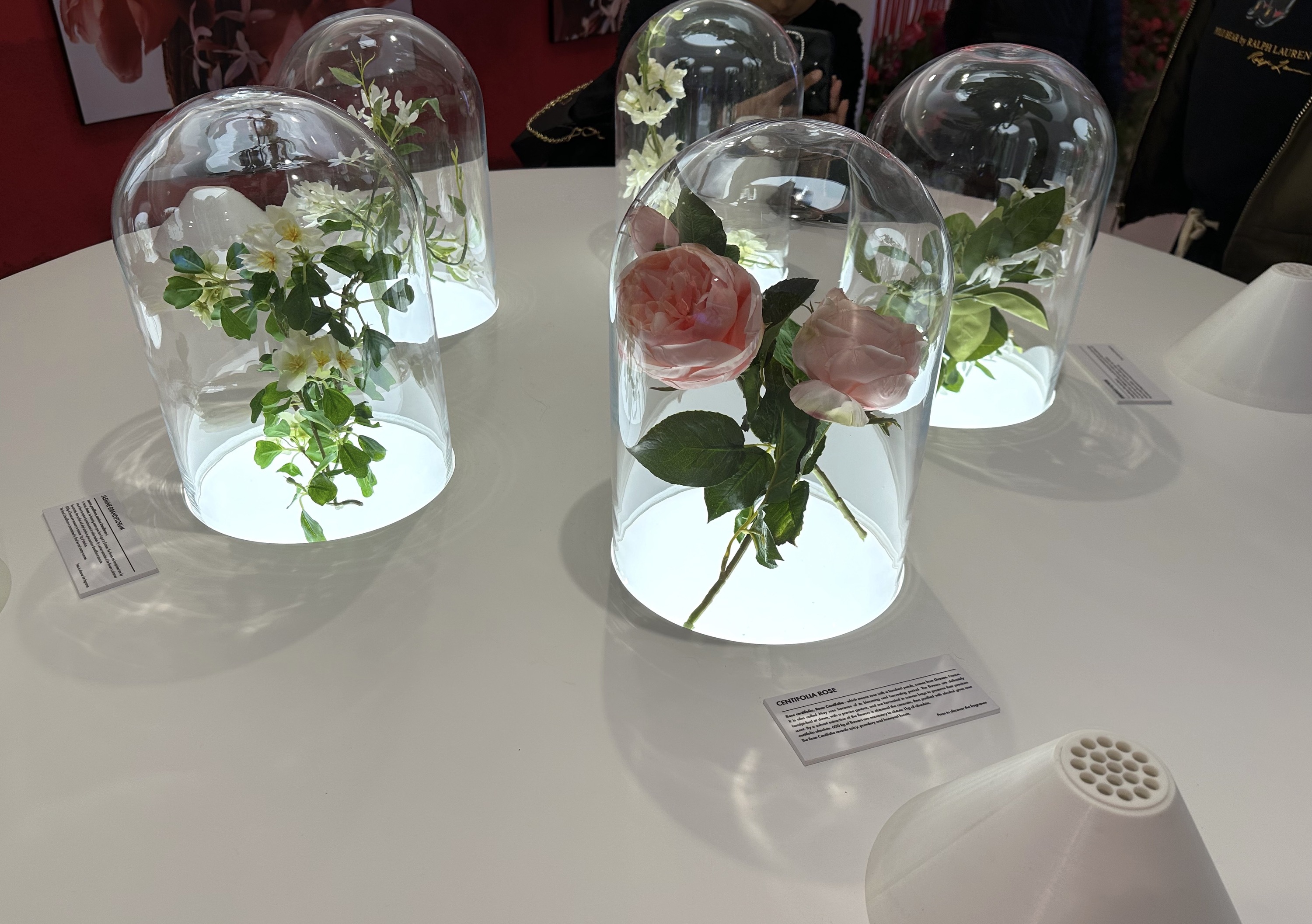 An installation featuring the aromas in Miss Dior perfume.