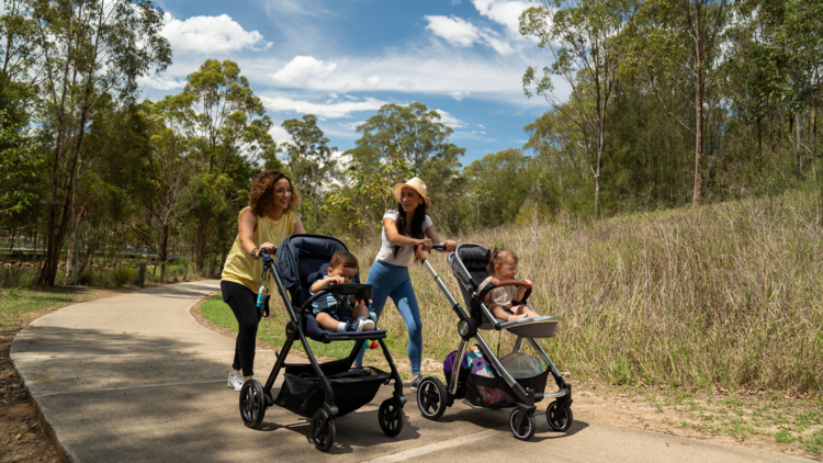 Two women pushing prams through a park