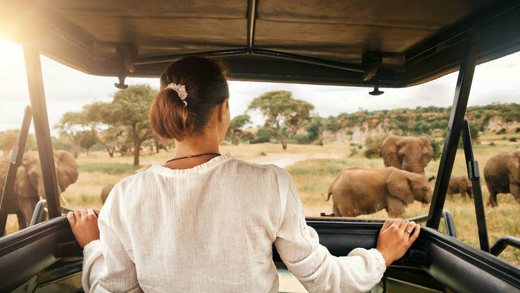 A woman on safari in Africa