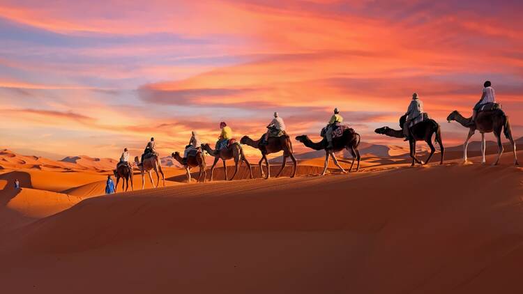 Explore the Sahara Desert on a country-spanning odyssey