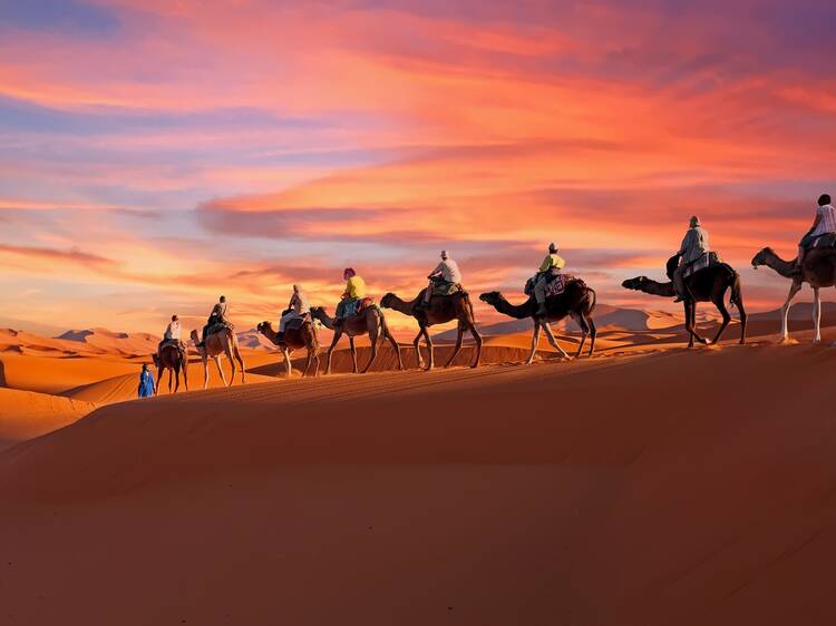 Explore the Sahara Desert on a country-spanning odyssey