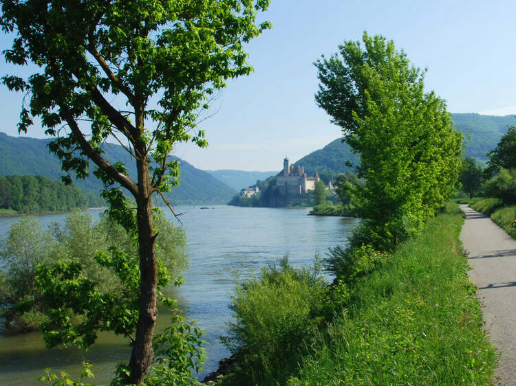 Cycle across multiple countries by following the Danube River