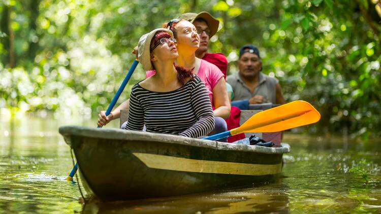 Explore the mystical Amazon Rainforest for an unforgettable sight