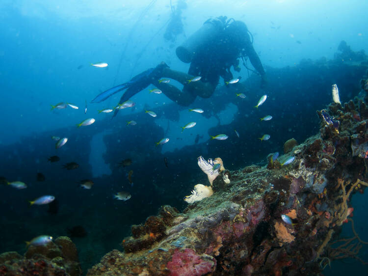 Dive down to the ocean floor to see shipwrecks at Sangat Island, Philippines