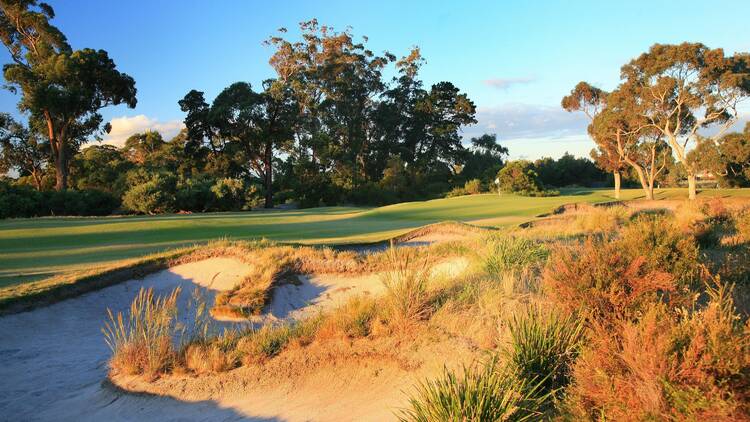 Bunker of a golf course