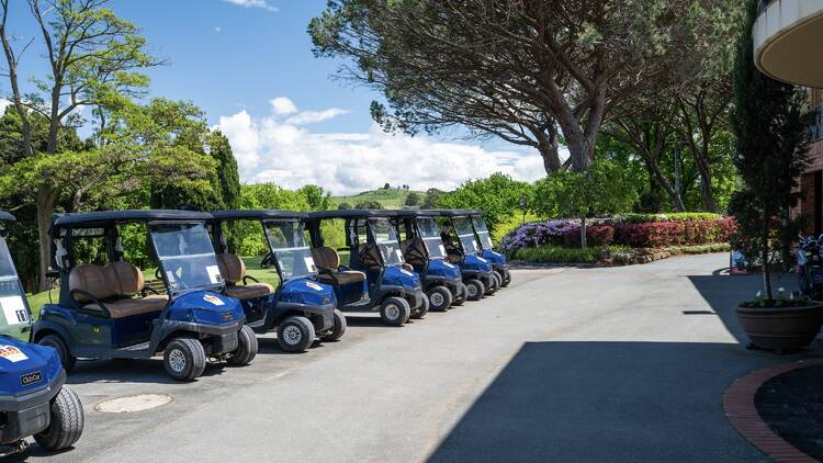 Golf buggies lined up