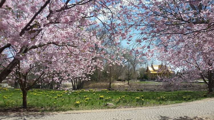 Olbrich Botanical Gardens