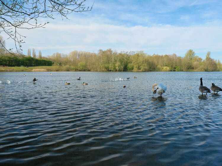 Catch some rays at Chorlton Water Park