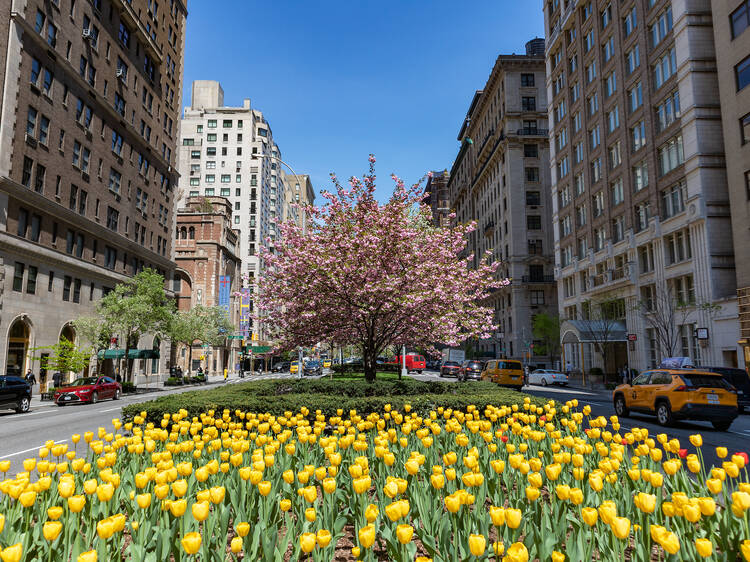 Here is the best time of the year to buy a home in NYC according to StreetEasy