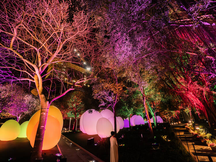 teamLab, Resonating Trees © teamLab