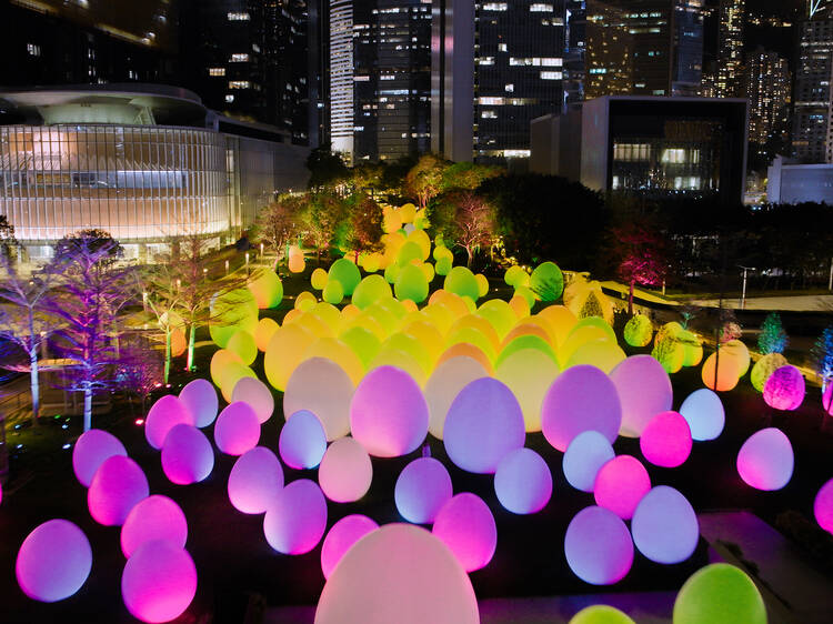teamLab in Hong Kong: location, opening hours, registration info, and more