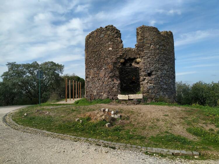 Percurso guiado pelos miradouros do Parque Florestal de Monsanto