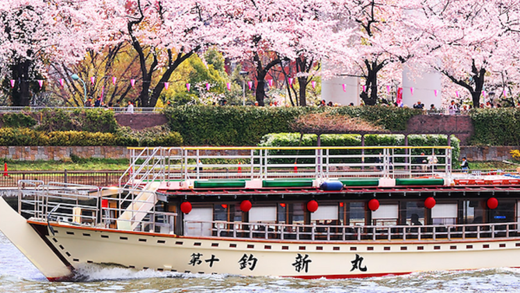 お花見屋形船（隅田川）