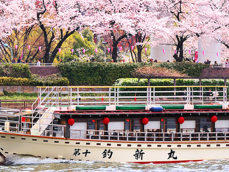 お花見屋形船（隅田川）