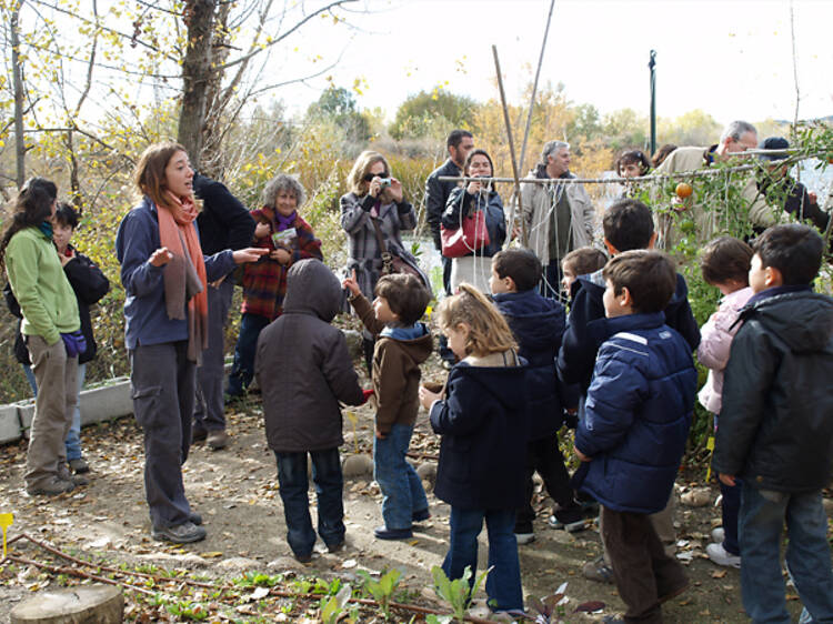 Talleres infantiles, sendas guiadas y más actividades gratuitas llegan a Madrid esta primavera