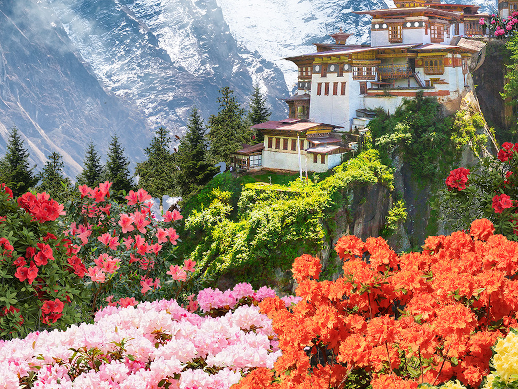 Azaleas of Shangri-La | Things to do in Singapore
