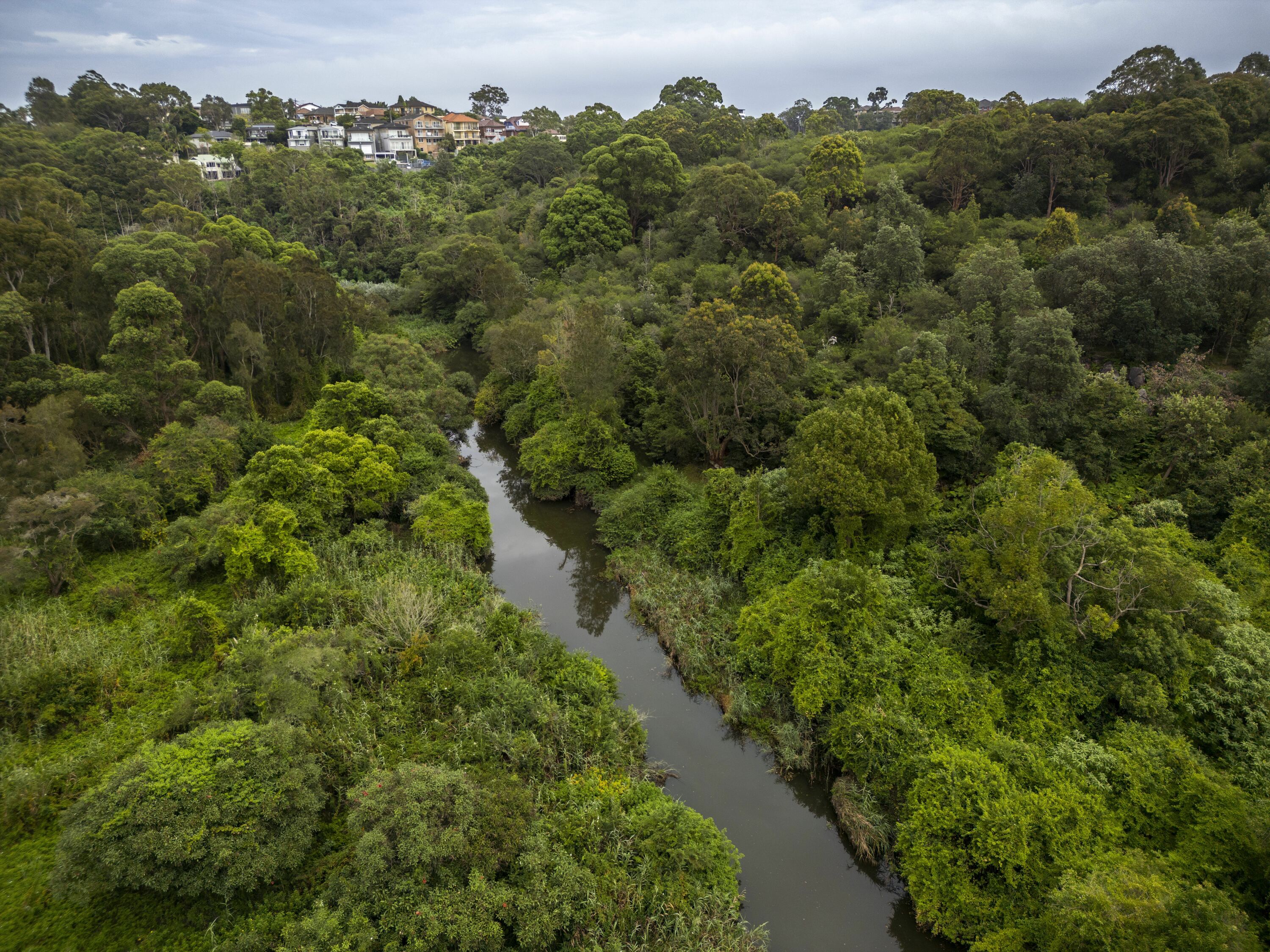 This wildlife-packed national park in Sydney's south-west has just grown by an extra 3 hectares