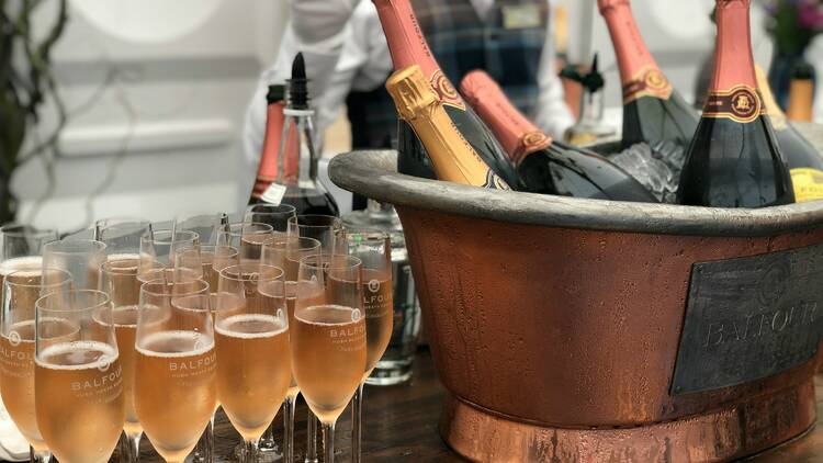 Glasses of sparkling wine next to an ice bucket of bottles of Champagne.