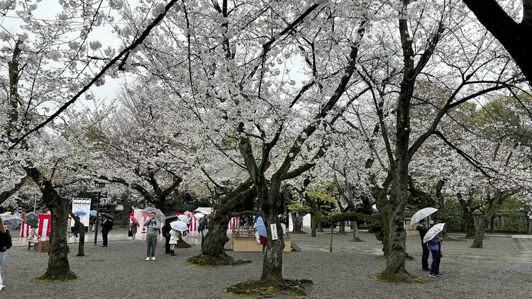 Yasukuni Shrine, Kudanshita