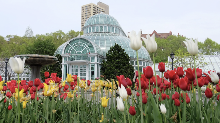 A Floral Design Class at Brooklyn Botanic Garden