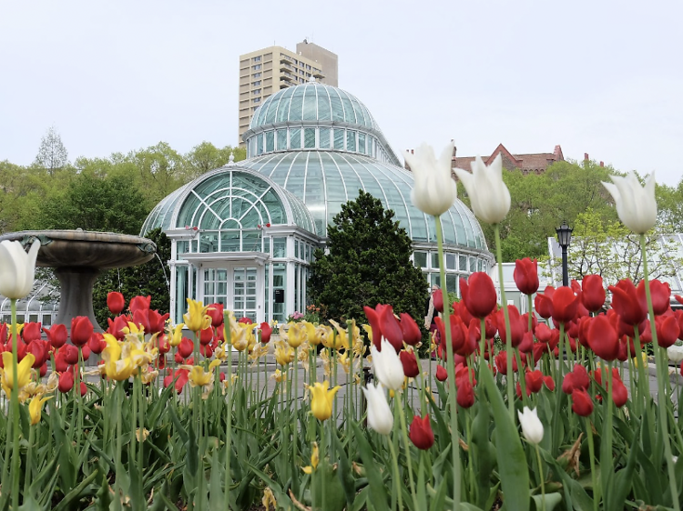 A Floral Design Class at Brooklyn Botanic Garden