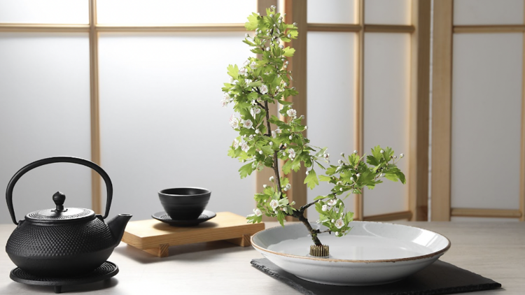 Basic Ikebana: Japanese Simplicity in Floral Design