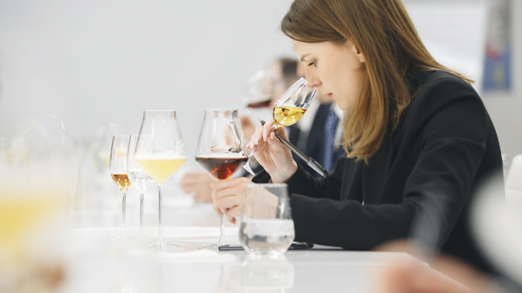 Blind Wine Tasting Conclusions & Testing Techniques