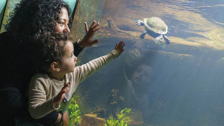 London Zoo’s brand-new reptile house