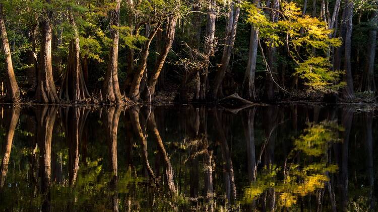 Congaree National Park, South Carolina