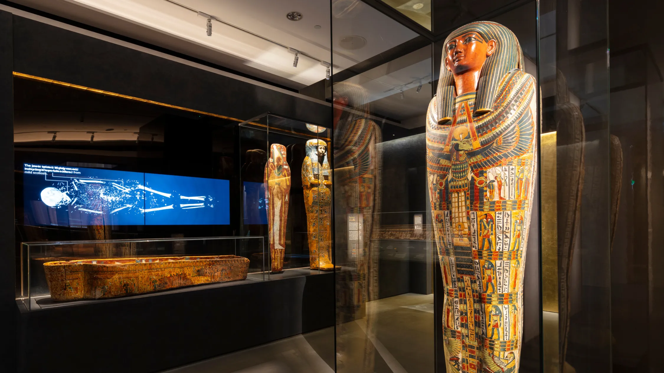The Nicholson Collection at the Chau Chak Wing Museum