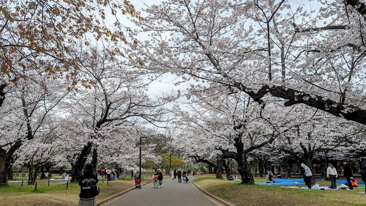 Yoyogi Park