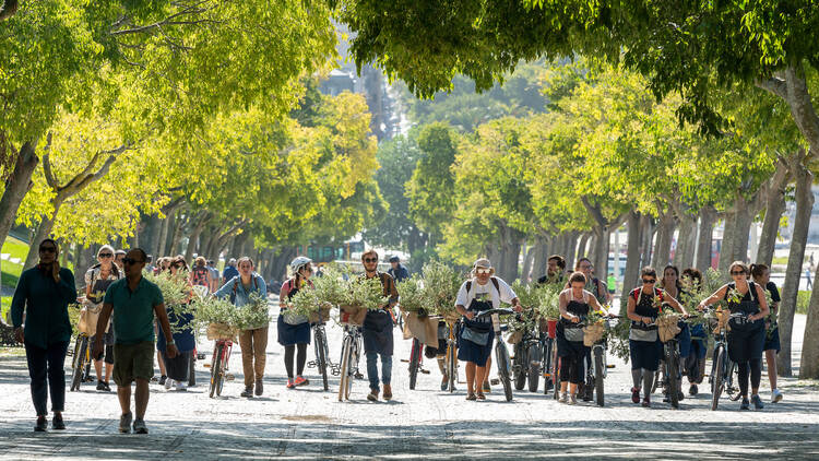 A abrir jardins desde 2017