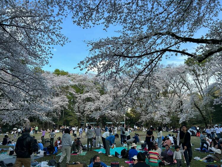 Komaba Park, Meguro