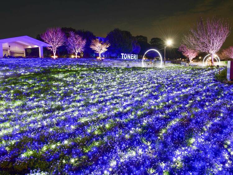 花と光のムーブメント 舎人公園×ネモフィラ
