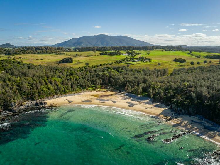 Sydney home owners can get paid to turn some of their land into national park