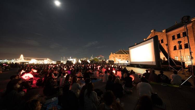 SEASIDE CINEMA 