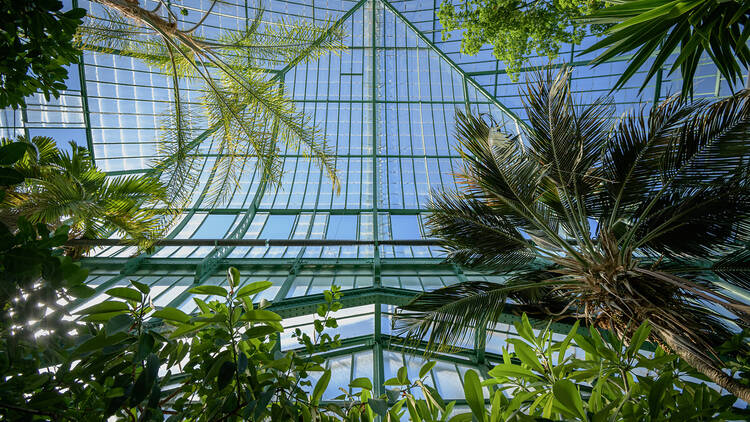 Le Jardin des Serres d'Auteuil